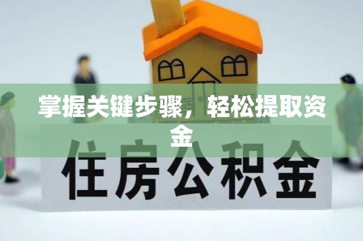 孟州掌握关键步骤，轻松提取资金