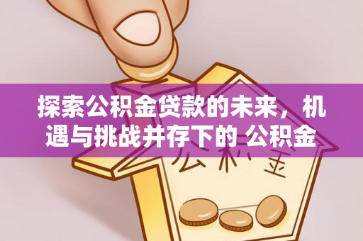 孟州探索公积金贷款的未来，机遇与挑战并存下的 公积金贷款风险防控
