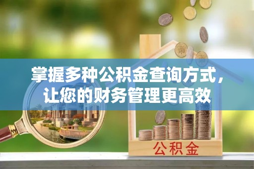 孟州掌握多种公积金查询方式，让您的财务管理更高效