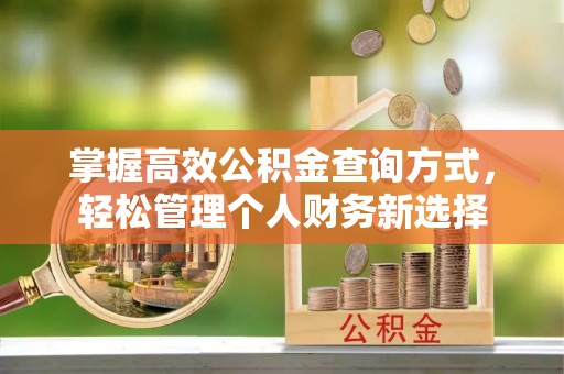 孟州掌握高效公积金查询方式，轻松管理个人财务新选择