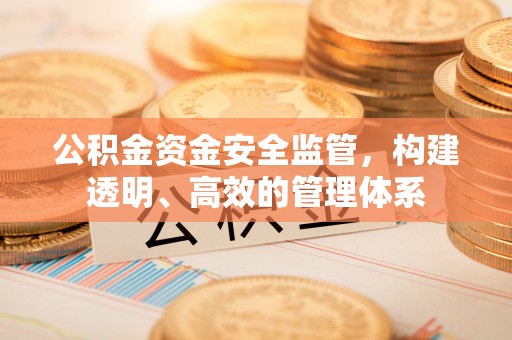 孟州公积金资金安全监管，构建透明、高效的管理体系