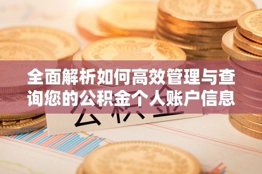 孟州全面解析如何高效管理与查询您的公积金个人账户信息