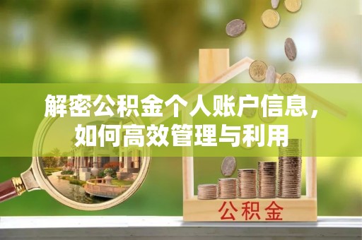 孟州解密公积金个人账户信息，如何高效管理与利用