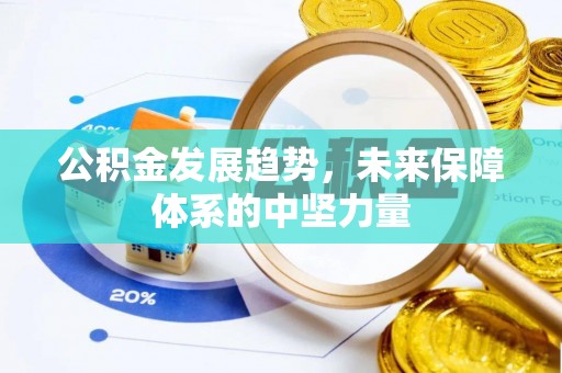 孟州公积金发展趋势，未来保障体系的中坚力量