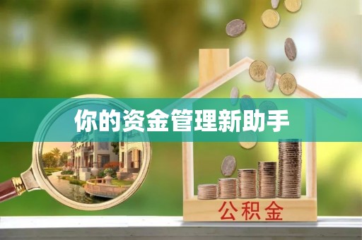 孟州你的资金管理新助手