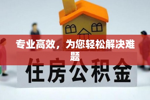 孟州专业高效，为您轻松解决难题