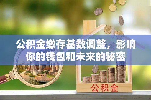 孟州公积金缴存基数调整，影响你的钱包和未来的秘密